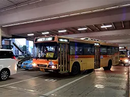 Buses at the airport