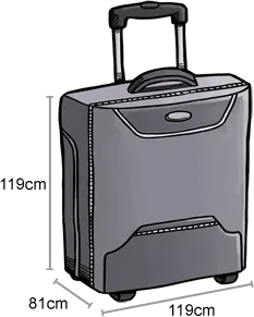 AirAsia Baggage Info, Cabin and Checked Baggage