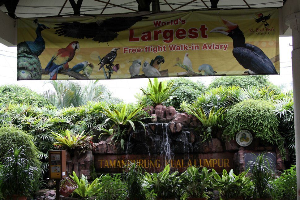 Kuala Lumpur Bird Park, houses more than 3000 birds representing more